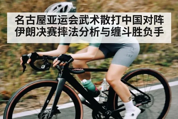 名古屋亚运会武术散打中国对阵伊朗决赛摔法分析与缠斗胜负手