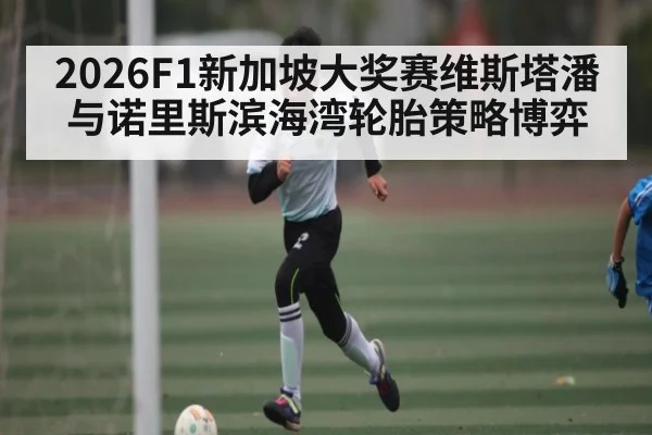 2026F1新加坡大奖赛维斯塔潘与诺里斯滨海湾轮胎策略博弈